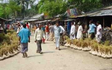 উত্তরবঙ্গের সবচে\\\' বড় রসুনের হাট কাচিনিয়ায়